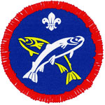 scout badge.jpg